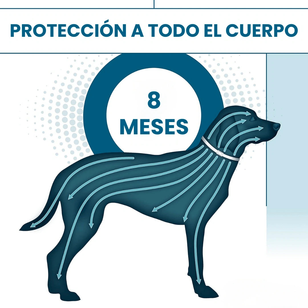 WEARPAW™ Collar Escudo 8 meses