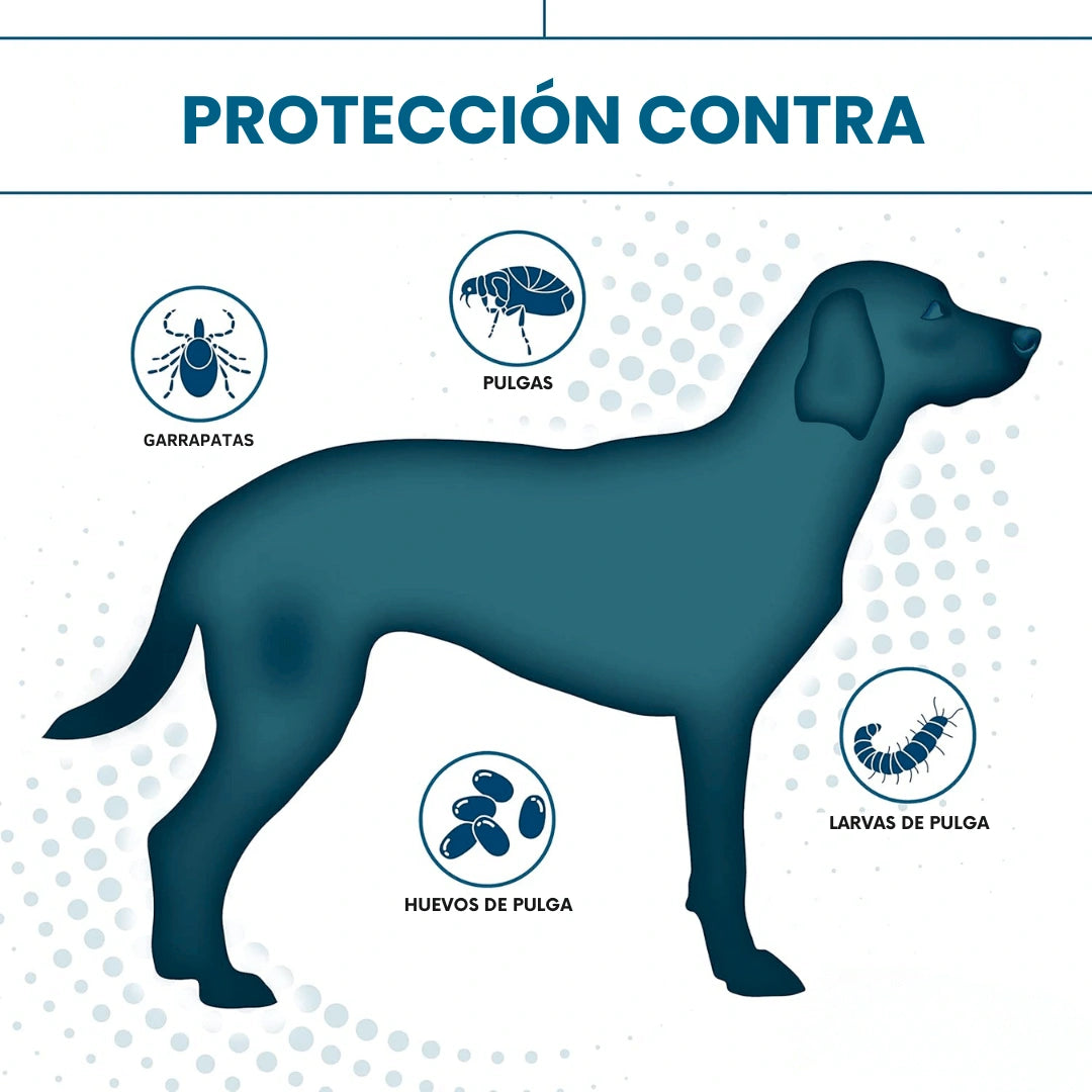 WEARPAW™ Collar Escudo 8 meses