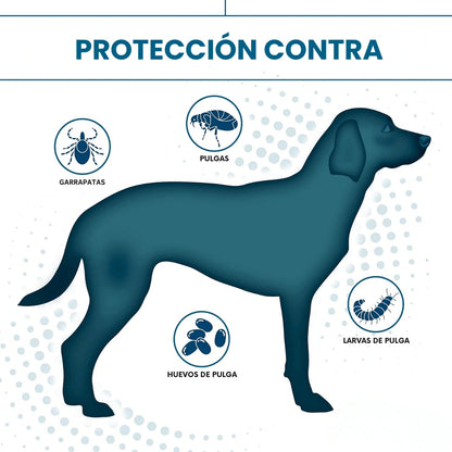 WEARPAW™ Collar Escudo 8 meses